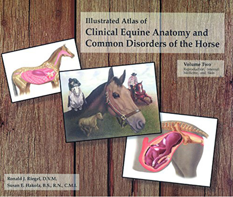 Book Cover - Illustrated Atlas of Clinical Equine Anatomy and Common Disorders of the Horse - Volume 2