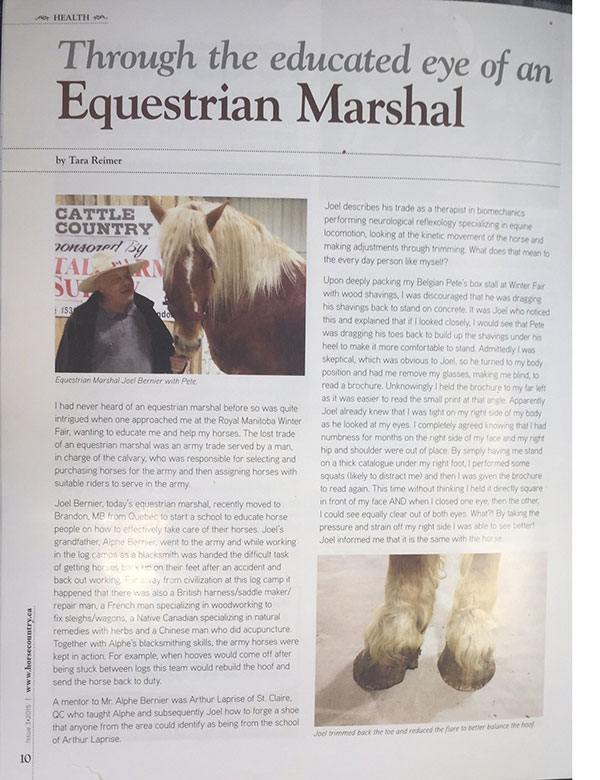 Writeup in Horse Country magazine - page 2