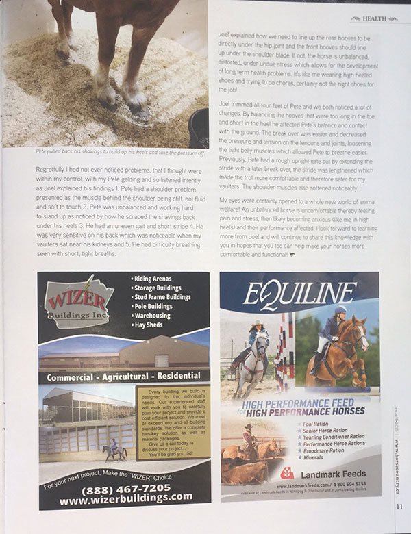 Writeup in Horse Country magazine - page 2